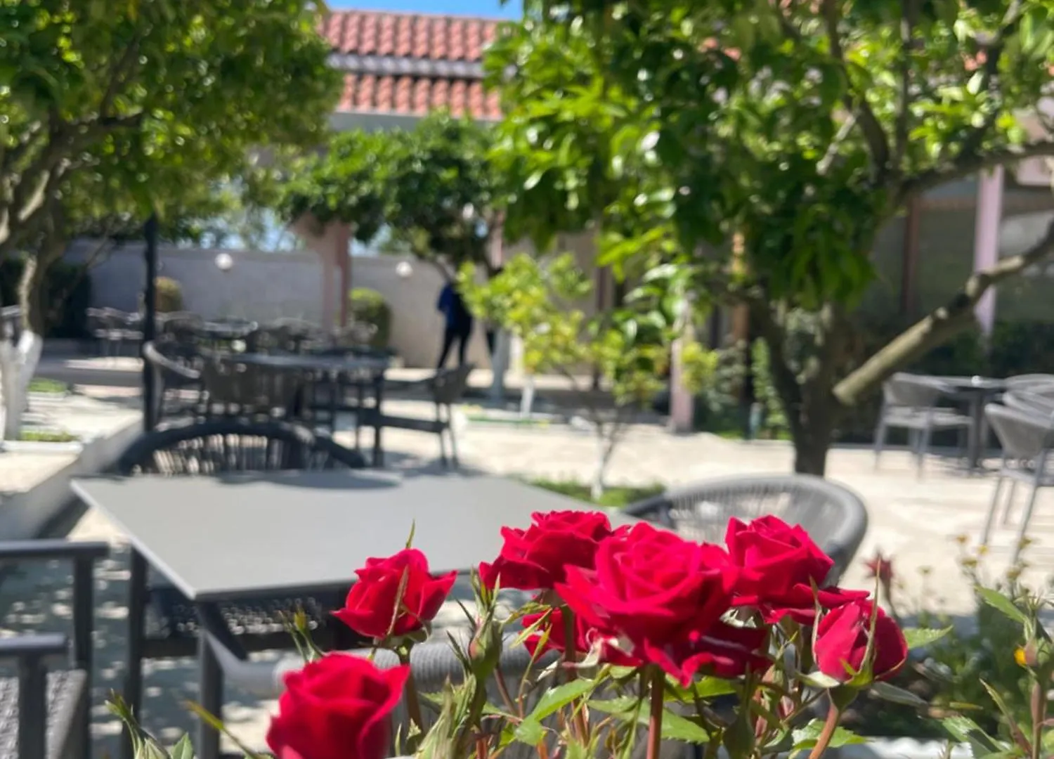 Pensjonat Restaurant Bujtina Portokallja Fier
